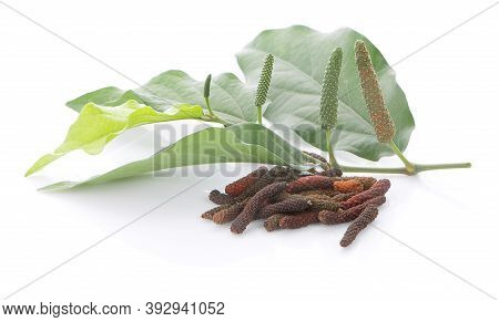 Long Pepper Isolated On The White Background.