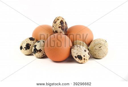 Huevos