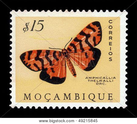 Moth Of The Arctiidae Family, Amphicallia Thelwalli