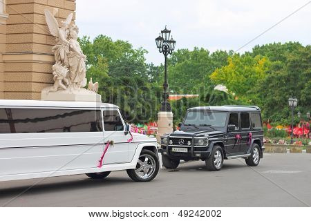 Wedding Cortege Near The Entrance To Odessa Opera House. Ukraine