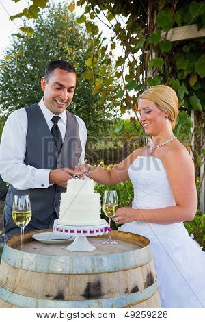 Bride And Groom Cake Cutting