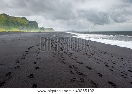 Black Sand Beach In Vik, Iceland