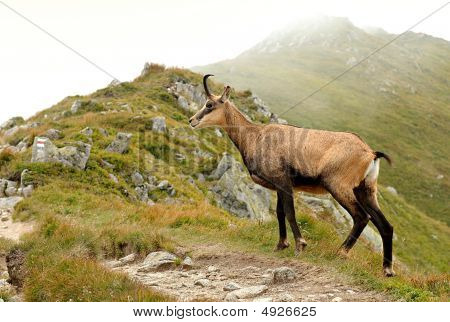 Nizke Tatry wird 20080071g voll