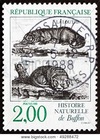 Postage Stamp France 1988 Otters, Buffon's Natural History