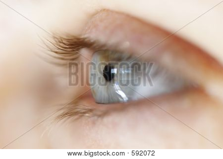 Close Up Of Eye