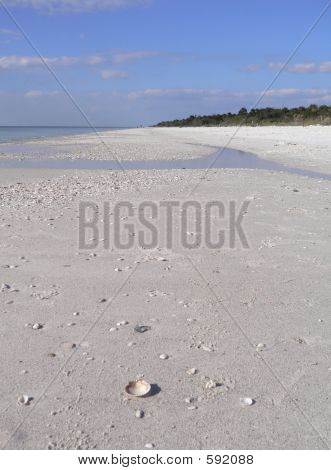 Beautiful Sandy Beach In Florida USA