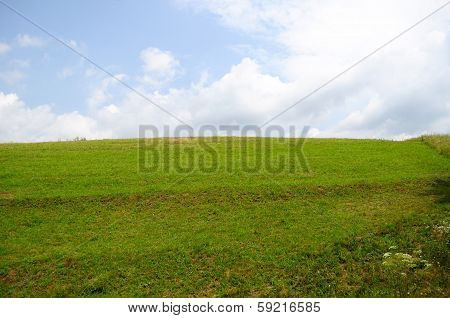 Meadow