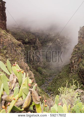 Cloudy Gorge