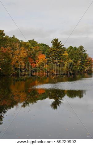 Fall Foliage on a Pond on a Cloudy Day