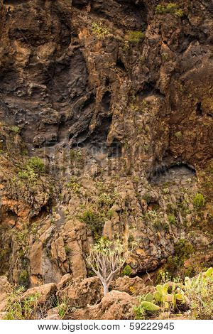 Volcanic Gorge