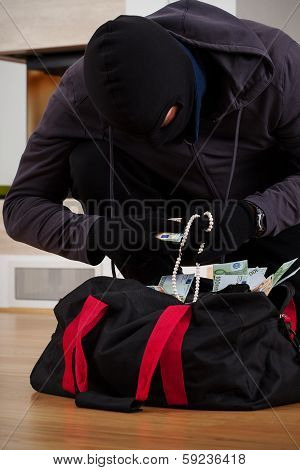 Thief Searching Bag