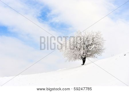 beautiful winter landscape in Sirnea, Romania