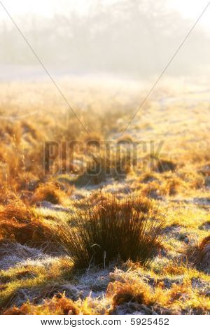 Winterochtend