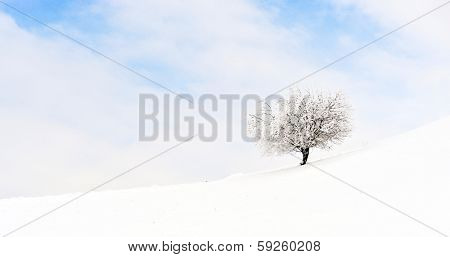 beautiful winter landscape in Sirnea, Romania