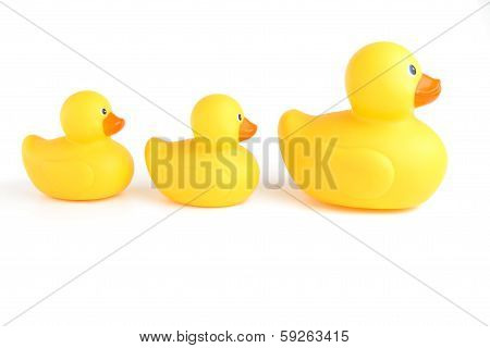 Ducks In A Row