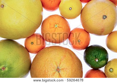 Background Of Assorted Citrus Fruit On White