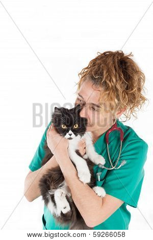 Veterinary with kitten