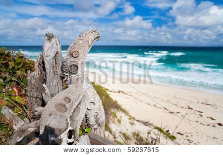 Tropical beach and sea on Bahamas island of Eleuthera