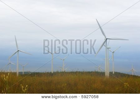 Wind Turbine In Canada