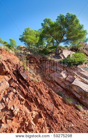 Castellon Desierto de las Palmas desert red mountains with pines at Spain