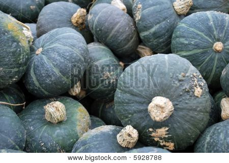 podzimní pohár squash