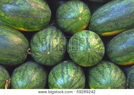 watermelon