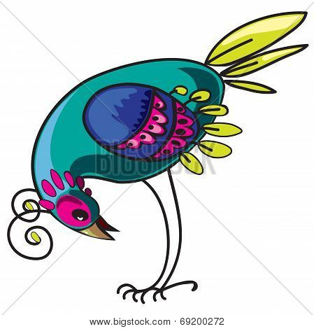 Curious bird