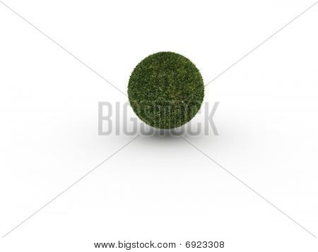Esfera de grama