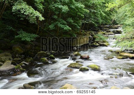 Harz National Park