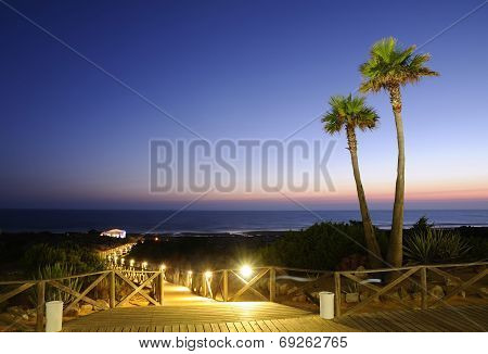 Sunset With Palms In Cadiz, Spain.