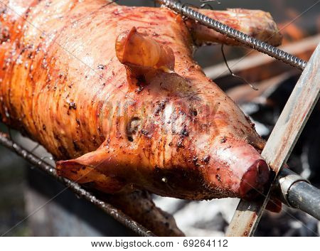 Delicious grilled pigling barbecue