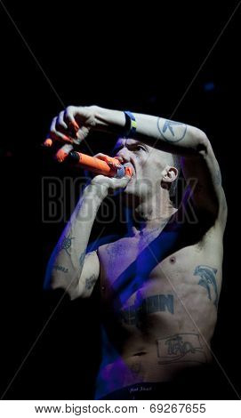 BONTIDA - JUNE 19: Die Antwoord, the South African rap-rave band from Cape Town performs live at Electric Castle Festival at June 19, 2014 in the Banffy castle in Bontida, Romania