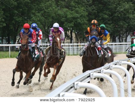 Horse Racing.
