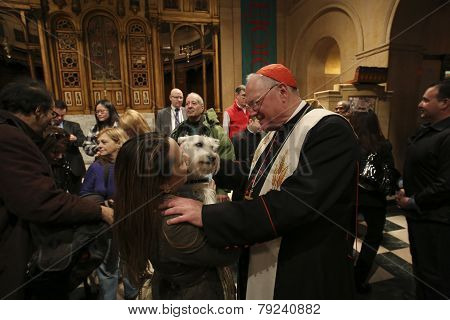 Cardinal Dolan greets pet owner
