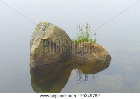 Grass Flowers On Rocky Island In A Hemkunt Lake..