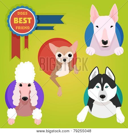Set of different dog breeds.