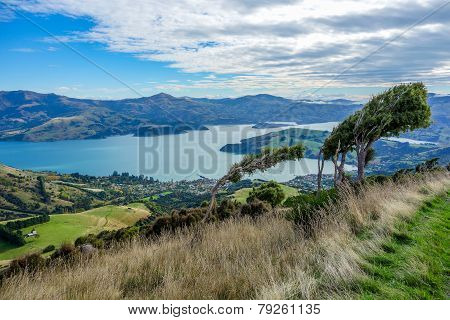 New Zealand