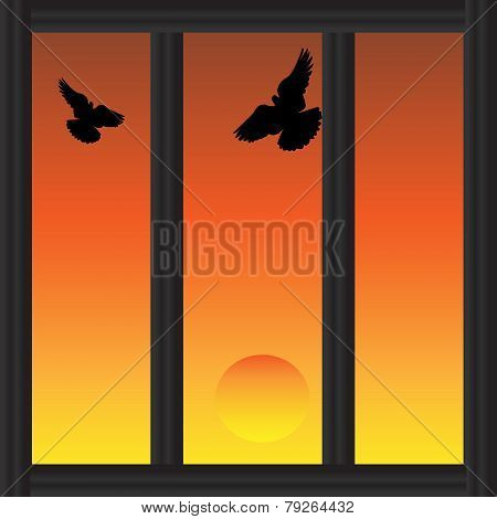 Watching A Sunset Through A Barred Window