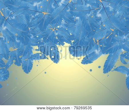 Feathers art