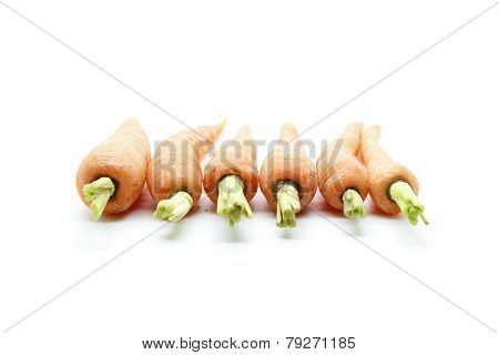 Baby Carots Arrange In Straight Line
