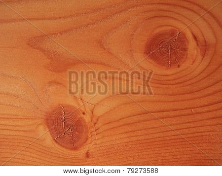 Larch Wood Background