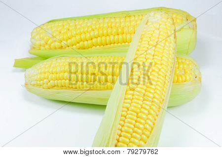 Corn