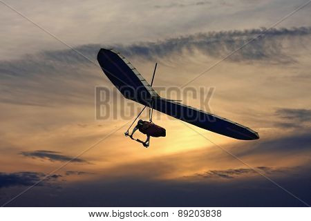 Hang Glider