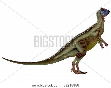 Hypsilophodon Over White