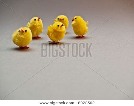 polli