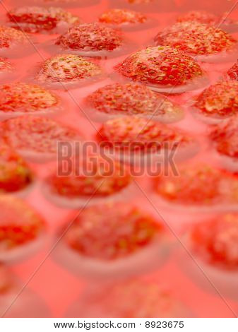 Red Delicious sugar rush