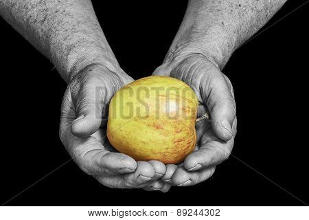 Senior Hands