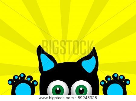 Little Surprised Kitten