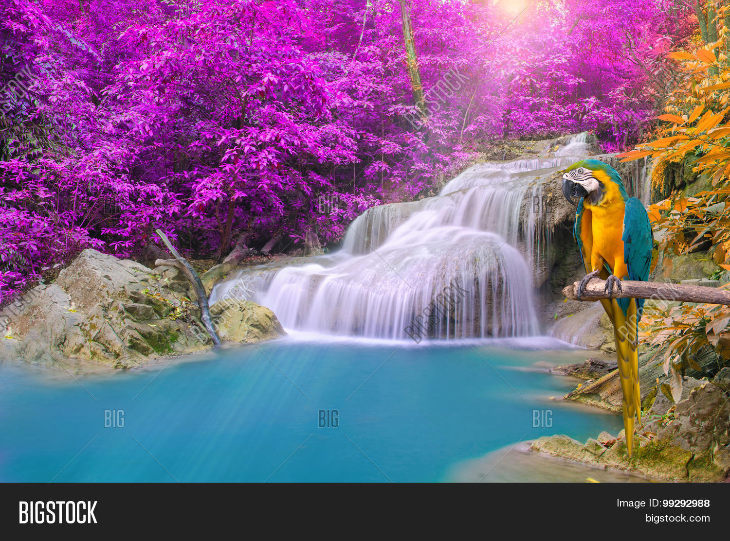 Illustration of Macaw Bird Avocado Tree Waterfall