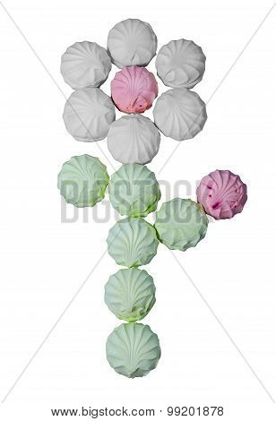 Many Zephyr In The Form Of A Flower